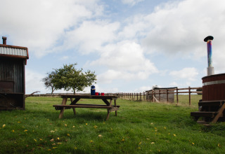 Tavolo da picnic sull’erba a BoerenBed Hollings Hill, West Midlands, con recinzione rurale e albero.
