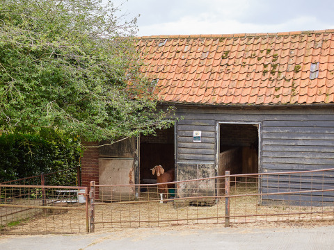 Un establo rústico con tejado rojo y una cabra en la puerta en BoerenBed Layer Marney Tower, Inglaterra.