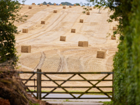 En udsigt over en mark med halmballer og en trælåge ved BoerenBed Layer Marney Tower i Østengland.