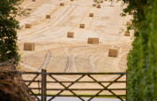 Blick auf ein Feld mit Strohballen und Holztor im BoerenBed Layer Marney Tower, Ostengland, Großbritannien.
