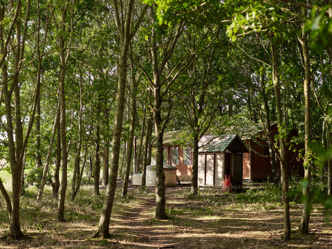 Woodland lodges at BoerenBed Layer Marney Tower holiday park, East of England, United Kingdom.