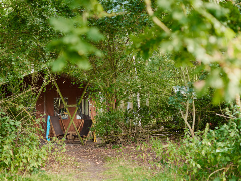 A cozy cabin hidden among green trees at BoerenBed Layer Marney Tower holiday park in East of England.