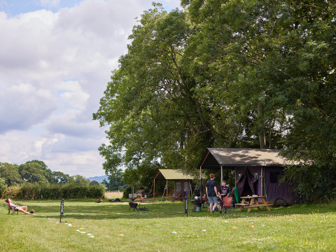 Vakantiehutten onder bomen met mensen die buiten ontspannen bij BoerenBed Moor Farm, Zuidwest-Engeland.