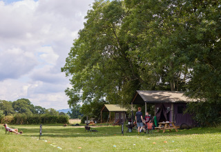 Holiday lodges under leafy trees with people relaxing and playing outdoors at BoerenBed Moor Farm, England.