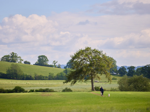 Una persona pasea un perro por un prado verde con un árbol solitario en BoerenBed Hidcote Manor Farm.