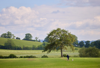 En person går med en hund på en grøn eng med et ensomt træ, landskab ved BoerenBed Hidcote Manor Farm.
