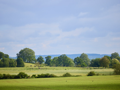 Landschap met groene velden en bomen bij BoerenBed Hidcote Manor Farm, West Midlands, Verenigd Koninkrijk.