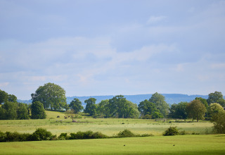 Landschap met groene velden en bomen bij BoerenBed Hidcote Manor Farm, West Midlands, Verenigd Koninkrijk.