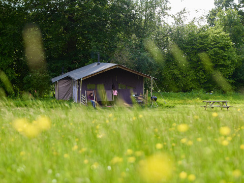 Tienda de campaña en un campo verde con flores silvestres en BoerenBed Hidcote Manor Farm, West Midlands.