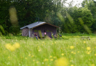 Safaritent aan de rand van een weide met bloemen op BoerenBed Hidcote Manor Farm in West Midlands.