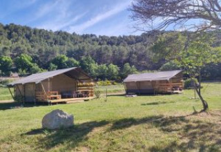 To safaritelte på Agricampeggio Tasteria i Italien, omgivet af grønne marker og træer under en blå himmel.