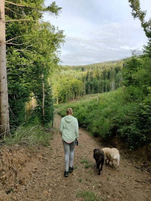 Persona che cammina con due cani su un sentiero nel bosco al camping Le Paradou, Auvergne-Rhône-Alpes, Francia.