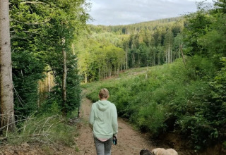 Persona che cammina con due cani su un sentiero nel bosco al camping Le Paradou, Auvergne-Rhône-Alpes, Francia.