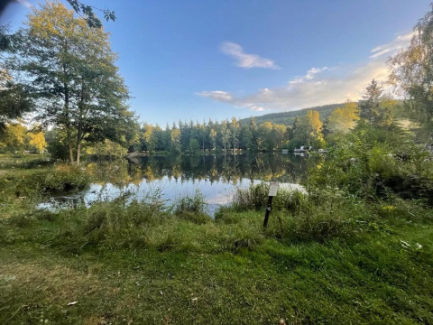 Vista tranquilla sul lago al Campeggio Le Paradou tra alberi e cielo azzurro in Auvergne-Rhône-Alpes, Francia.