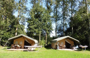 Two Safaritent safari tents on a grassy clearing, surrounded by tall trees, each with hammocks and picnic tables.