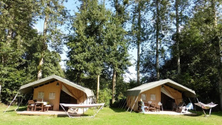 Two Safaritent safari tents on a grassy clearing, surrounded by tall trees, each with hammocks and picnic tables.