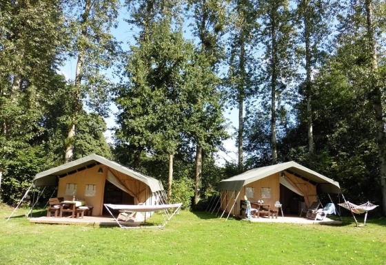 Two Safaritent safari tents on a grassy clearing, surrounded by tall trees, each with hammocks and picnic tables.