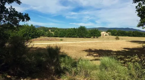 Vista de un campo abierto con árboles verdes y una casa lejana en Provence-Alpes-Côte d’Azur, Francia.