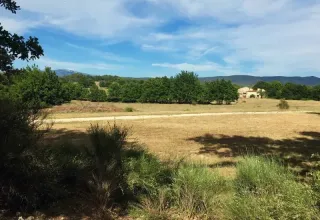 Vue sur un champ ouvert, des arbres verts et une maison éloignée en Provence-Alpes-Côte d’Azur, France.