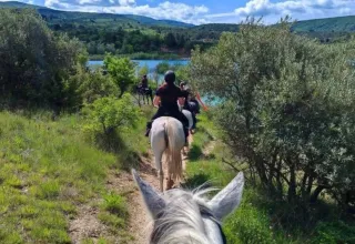 Group horseback riding along a scenic lakeside trail surrounded by greenery in Provence-Alpes-Côte d’Azur.