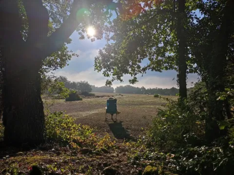 Eine Person sitzt auf einem Stuhl im Sonnenlicht, umgeben von Bäumen, auf dem Campingplatz Avelanède in der Provence.