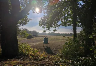 Une personne assise sur une chaise au soleil dans une clairière entourée d’arbres, vue depuis le camping Avelanède en Provence.