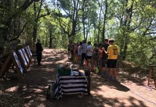 Tiro con arco en el bosque del Campsite «Avelanède» en Provence-Alpes-Côte d’Azur, Francia.