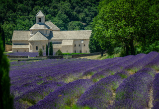 Lavendelvelden en een oude abdij nabij Artignosc-sur-Verdon in de Provence-Alpes-Côte d’Azur, Frankrijk.