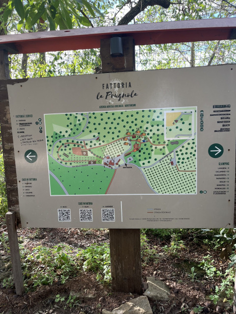 Overzichtskaart van Agricampeggio La Prugnola, een vakantiepark in Toscane, Italië, omringd door natuur.