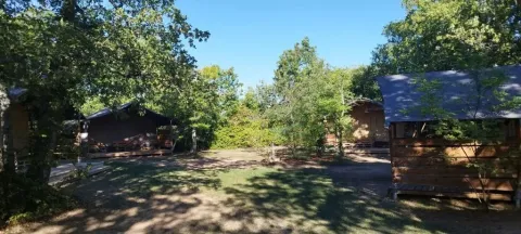 Safaritenten op camping Avelanède in Frankrijk, omgeven door bomen en schaduw onder een blauwe lucht.