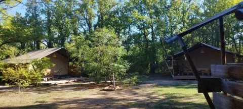 Twee safaritenten op Camping Avelanède in Frankrijk, omgeven door groene bomen.