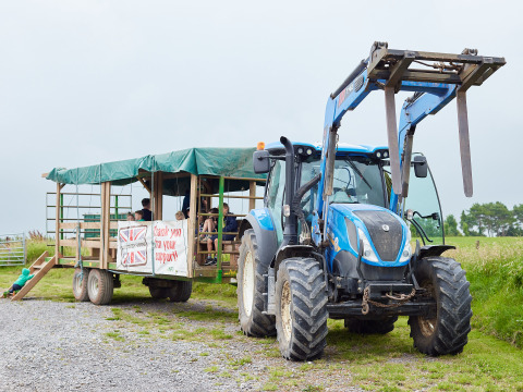 Blauer Traktor mit Anhänger für Gäste auf dem BoerenBed Warren Farm Ferienpark in Südwestengland.