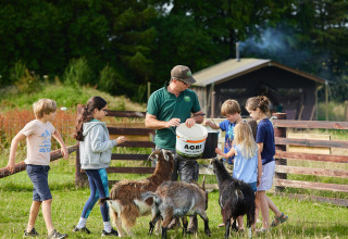Des enfants et un adulte nourrissent des chèvres au parc de vacances BoerenBed Warren Farm dans le sud-ouest de l’Angleterre, Royaume-Uni.