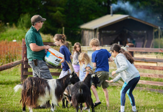 Børn og en voksen fodrer geder på en græsmark ved BoerenBed Warren Farm, feriepark i Sydvestengland.