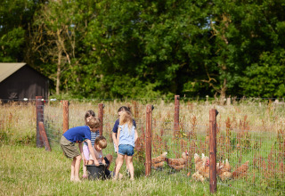 Children feeding chickens at a fence on BoerenBed Warren Farm holiday park in South West England, United Kingdom.