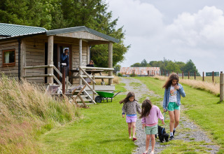 Trois enfants et un chien marchent près d’une cabane en bois à BoerenBed Warren Farm, sud-ouest de l’Angleterre.
