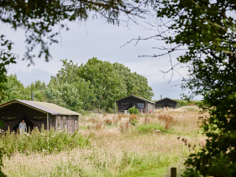 View of BoerenBed Warren Farm holiday park in South West England with tents set among wild grassy meadows.