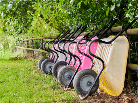 Diverse carriole rosa e gialle in fila sotto agli alberi vicino a una recinzione a BoerenBed Upper Shadymoor Farm in Galles.
