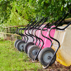 Diverse carriole rosa e gialle in fila sotto agli alberi vicino a una recinzione a BoerenBed Upper Shadymoor Farm in Galles.