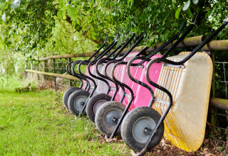 Diverse carriole rosa e gialle in fila sotto agli alberi vicino a una recinzione a BoerenBed Upper Shadymoor Farm in Galles.