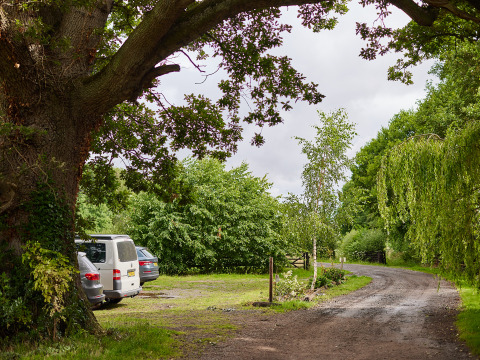 Grindweg met geparkeerde auto's onder grote bomen op Upper Shadymoor Farm, Wales, in een groene omgeving.