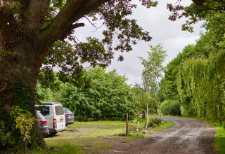 Strada sterrata con auto parcheggiate sotto grandi alberi a Upper Shadymoor Farm, Galles, tra il verde.