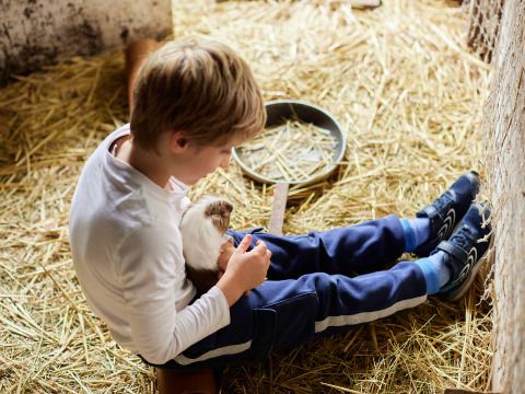 Dreng i hvid bluse og blå bukser sidder i halm, holder et marsvin på BoerenBed New Barn Farm i England.