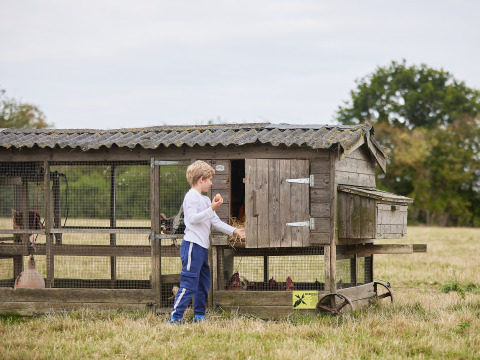 Un niño alimenta gallinas junto a un gallinero de madera en BoerenBed New Barn Farm, Este de Inglaterra.
