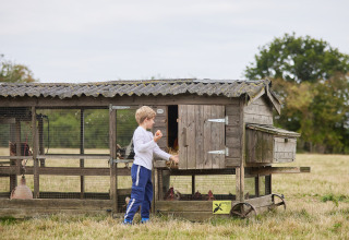 Un bambino dà da mangiare alle galline vicino a un pollaio a BoerenBed New Barn Farm, Est dell’Inghilterra.