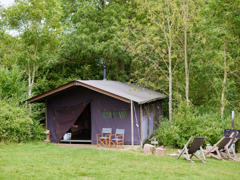 Et luksustelt omgivet af træer og græs med stole foran, taget på BoerenBed New Barn Farm, England.