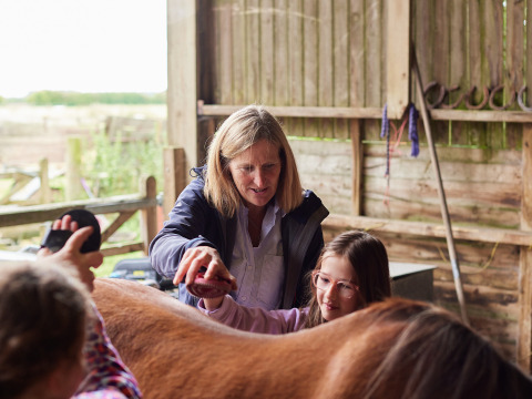 Una donna insegna a una bambina a spazzolare un cavallo presso BoerenBed New Barn Farm, Inghilterra orientale.
