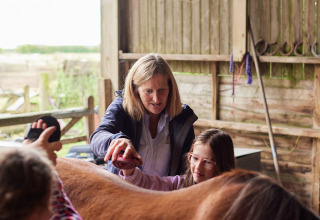 Una donna insegna a una bambina a spazzolare un cavallo presso BoerenBed New Barn Farm, Inghilterra orientale.