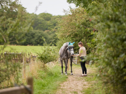 En kvinde går med en hest på en grøn sti i BoerenBed New Barn Farm, en feriepark i Østengland.