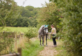 En kvinde går med en hest på en grøn sti i BoerenBed New Barn Farm, en feriepark i Østengland.